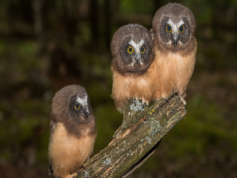 试管旋转气压问题,试管容易失败吗